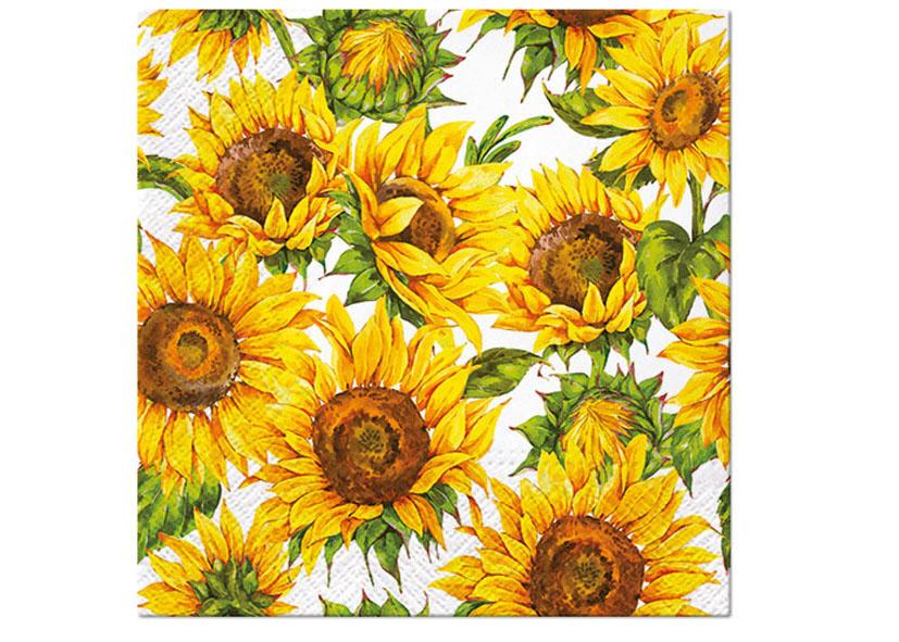 20 TOVAGLIOLI 3 VELI 33X33CM 235300 &