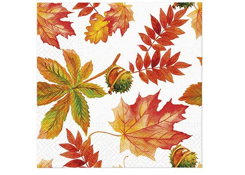 20 TOVAGLIOLI 3 VELI 33X33CM 136500 &