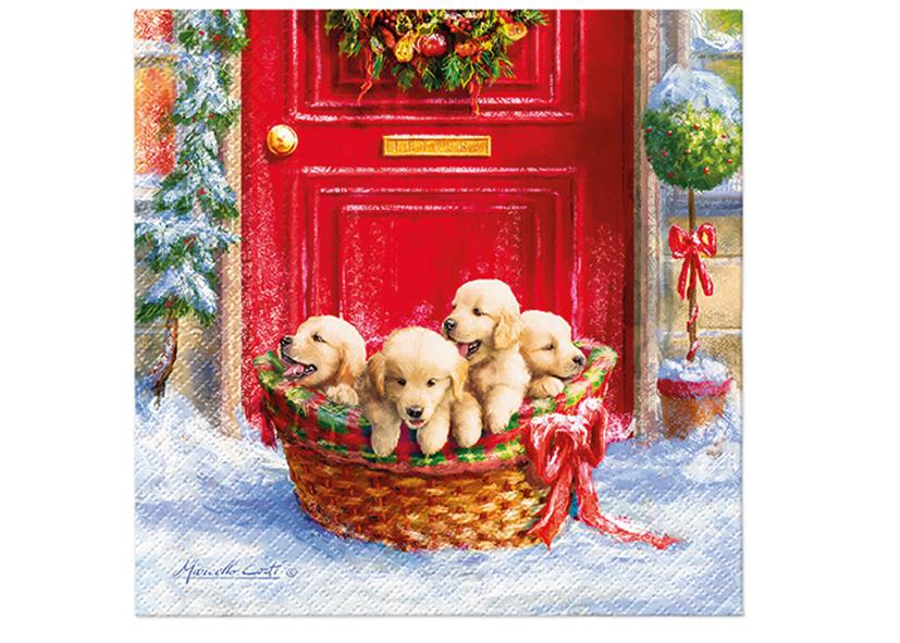 20 TOVAGLIOLI 3 VELI 33X33CM 236100 &