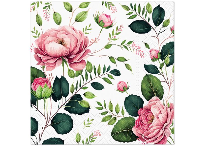 20 TOVAGLIOLI 3 VELI 33X33CM 125300 &