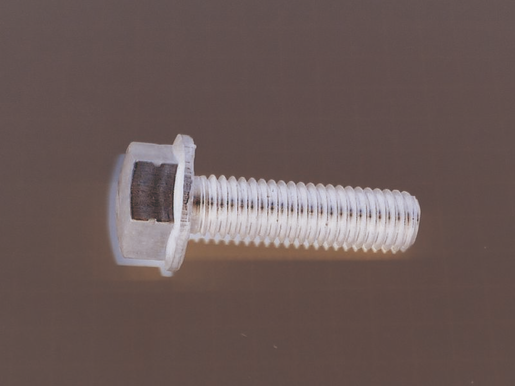 immagini/rational/1008_0769P.png