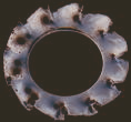 immagini/rational/10_00_188P.png