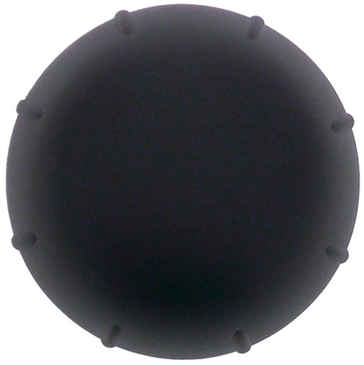 immagini/rational/16_00_231P.png