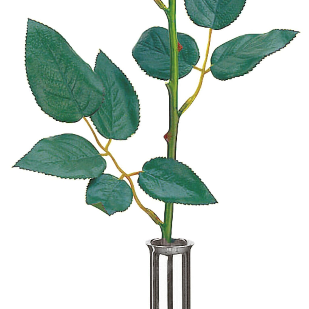 immagini/paderno/41628-15.jpg