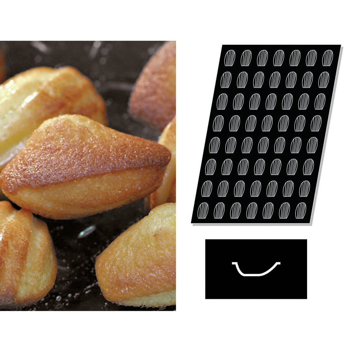 immagini/paderno/47740106.jpg