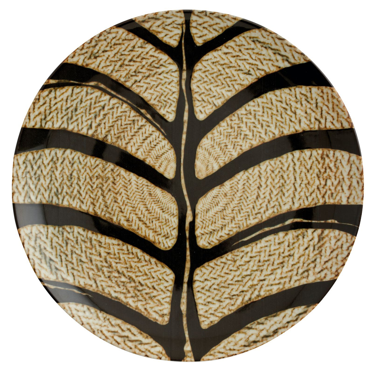 immagini/paderno/67350B05.jpg