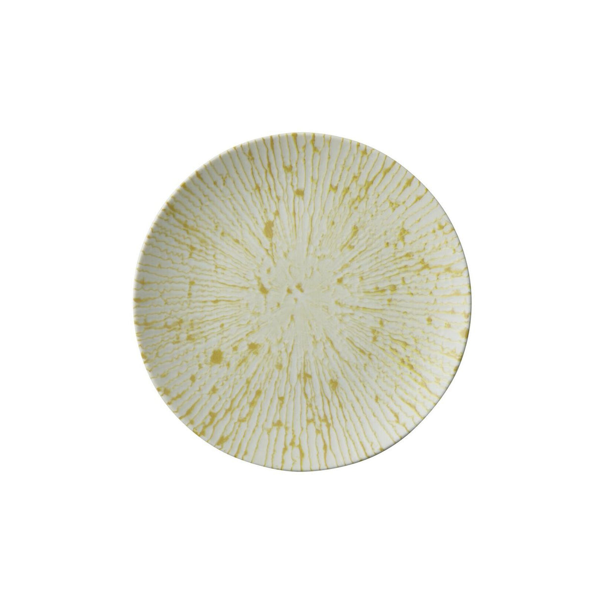 immagini/paderno/67356-01.jpg