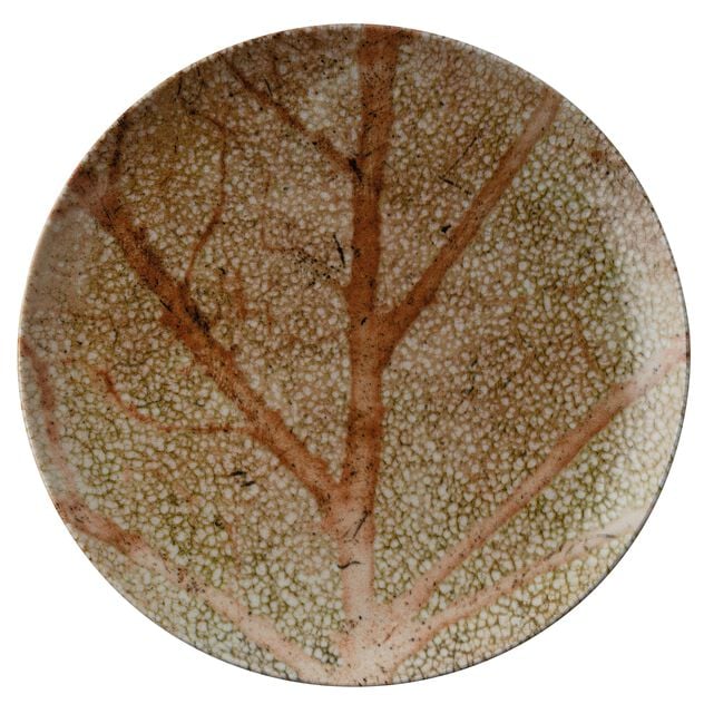 Piatto Piano Cm 27,5 Nature Essence A Porcellana Cod. 67374A05
