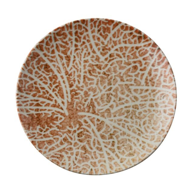 Piatto Piano Cm 27,5 Nature Essence C Porcellana Cod. 67374C05