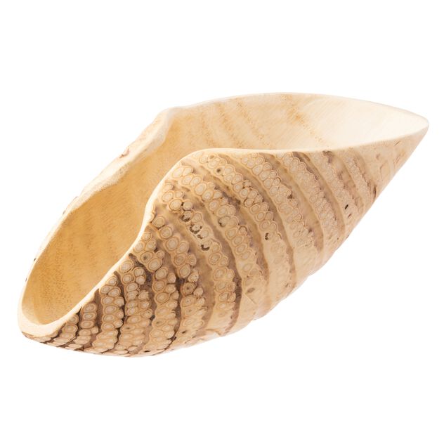 Piatto Presentazione Sushi Cod. 49657-33