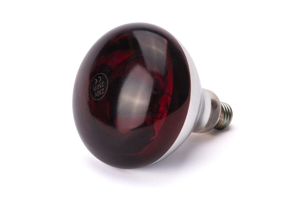 Bulbo a infrarossi Cod. 919217