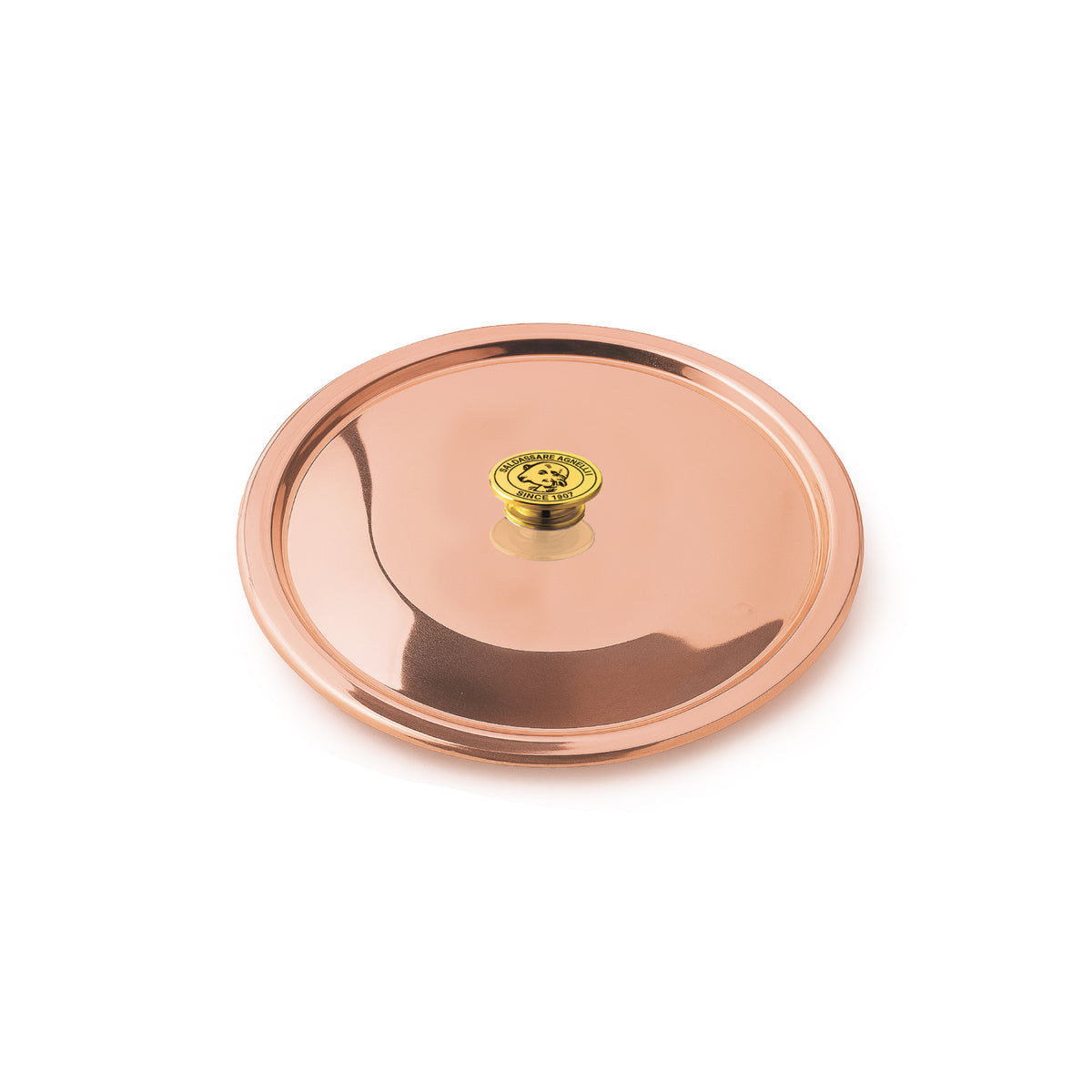 immagini/agnelli/ALCU0129.jpg