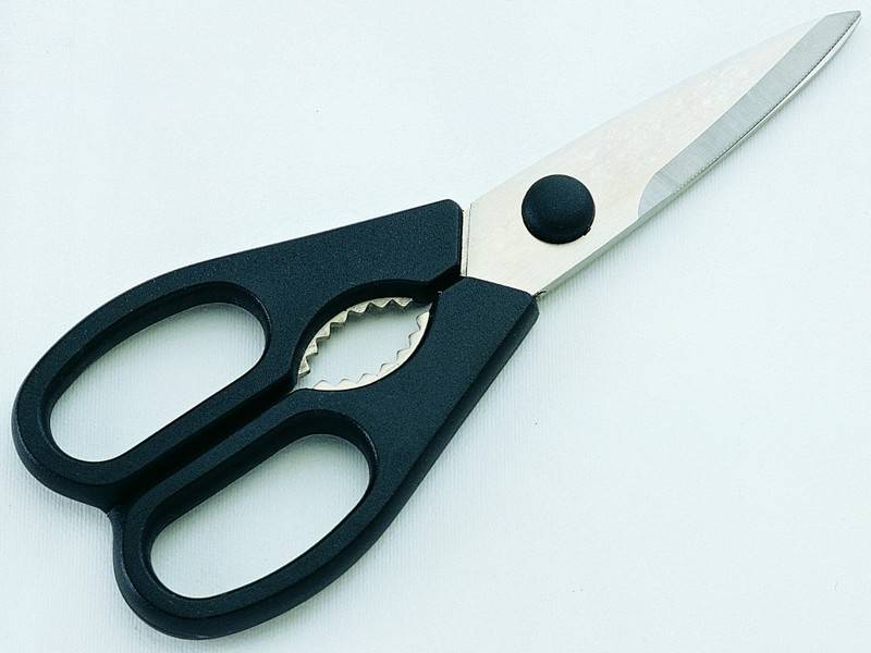 KITCHEN SHEARS 1 MICRO-SERRATED BLADE DISMANTLABLE